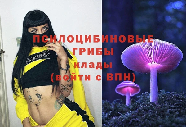 ГАЛЛЮЦИНОГЕННЫЕ ГРИБЫ Алексеевка