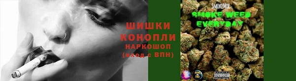ГАЛЛЮЦИНОГЕННЫЕ ГРИБЫ Алексеевка