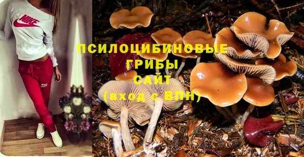 ГАЛЛЮЦИНОГЕННЫЕ ГРИБЫ Алексеевка