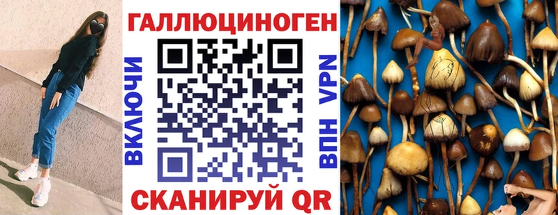 Галлюциногенные грибы прущие грибы ОМГ ОМГ ССЫЛКА Кирс наркошоп